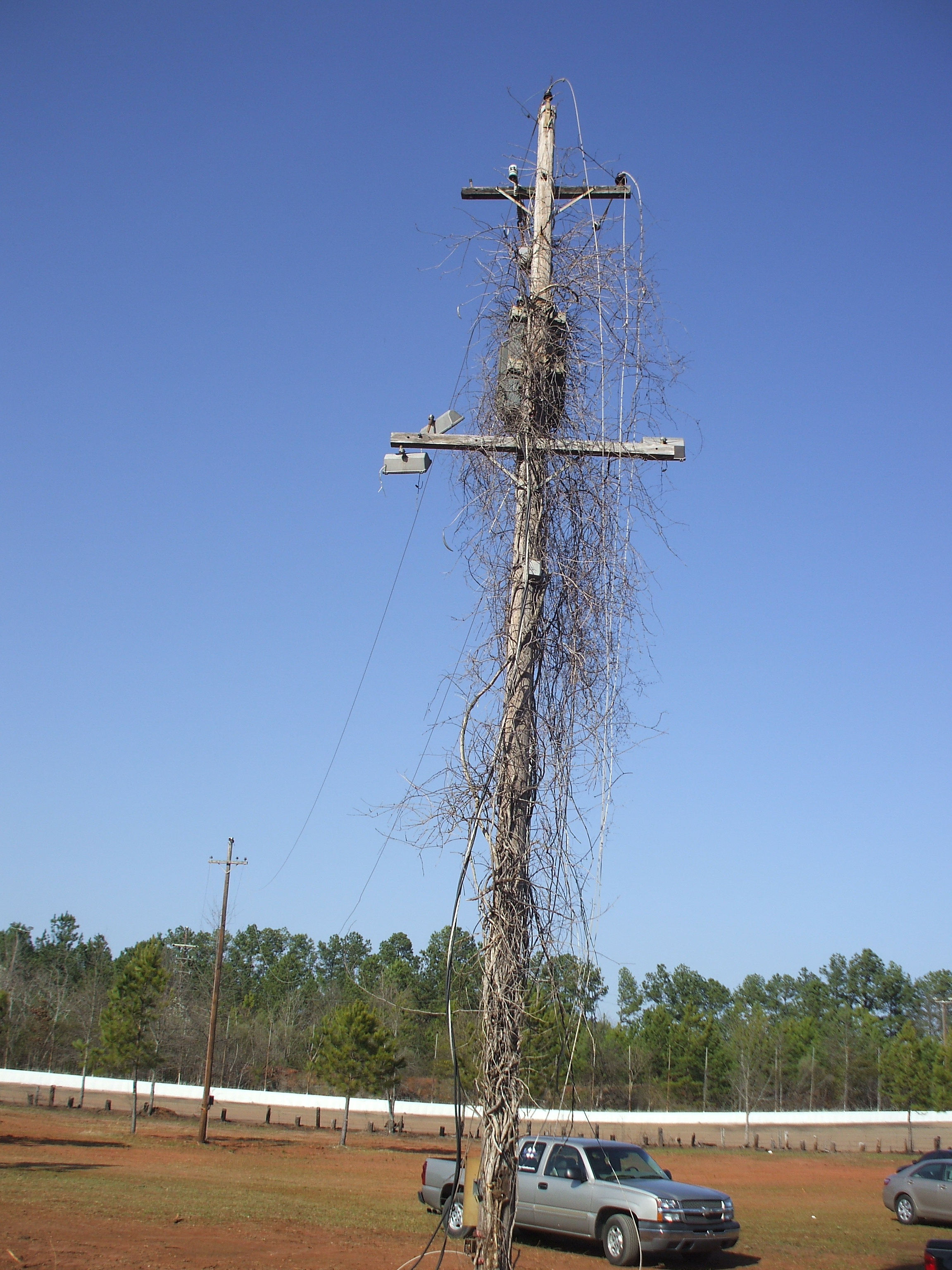 Light Pole at MGR