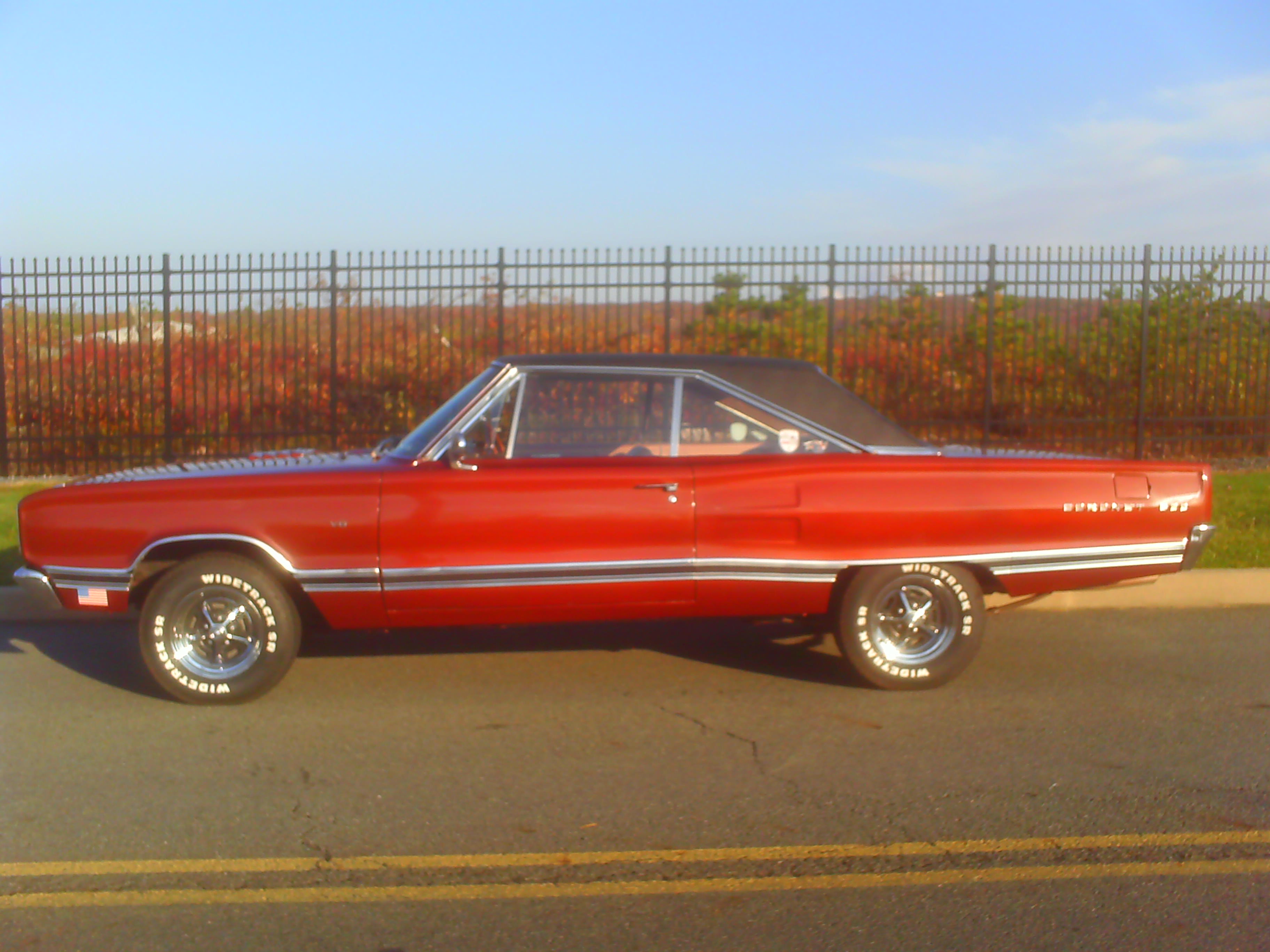 coronet in sun (4)