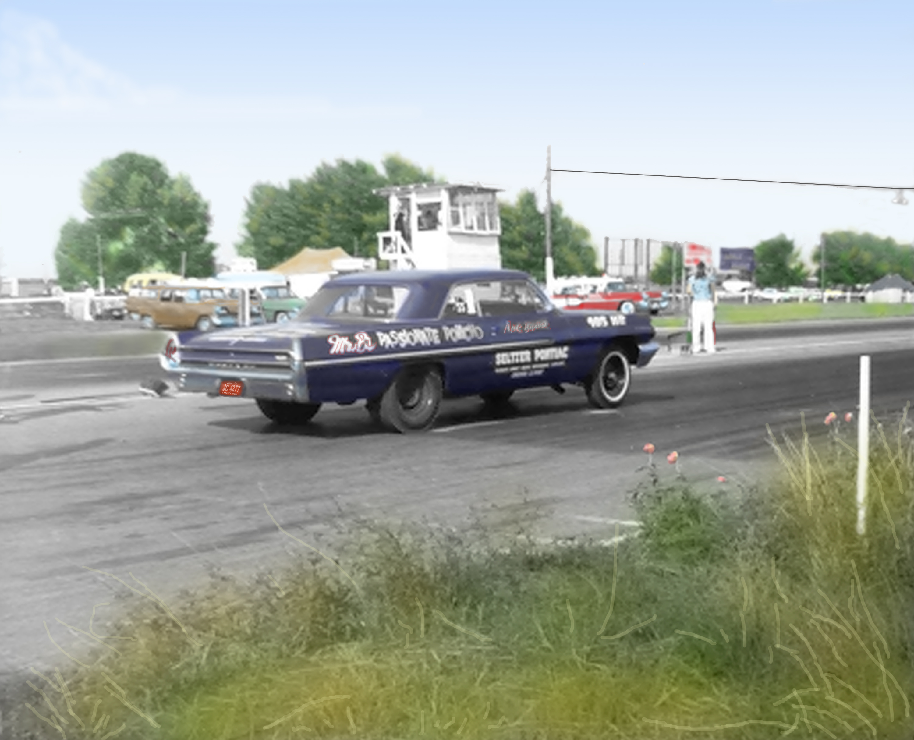 62 Cat (colorized)