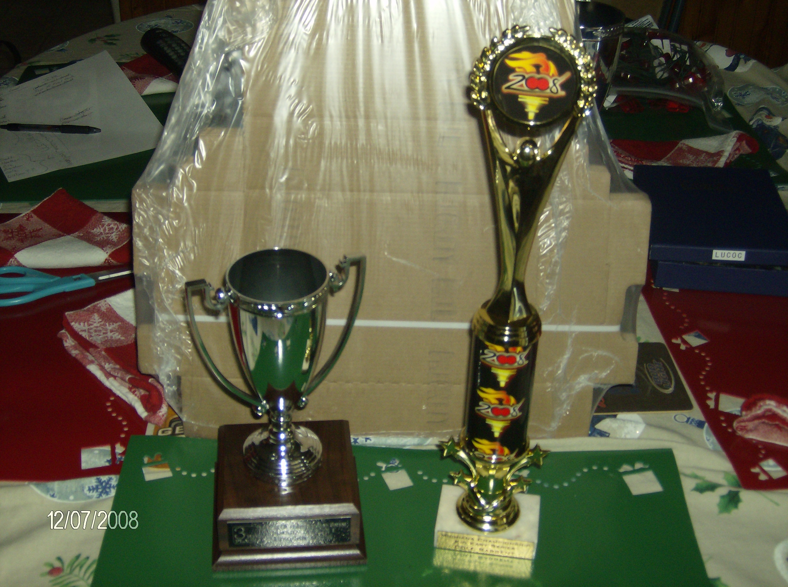 boys trophies from 08 banquet
